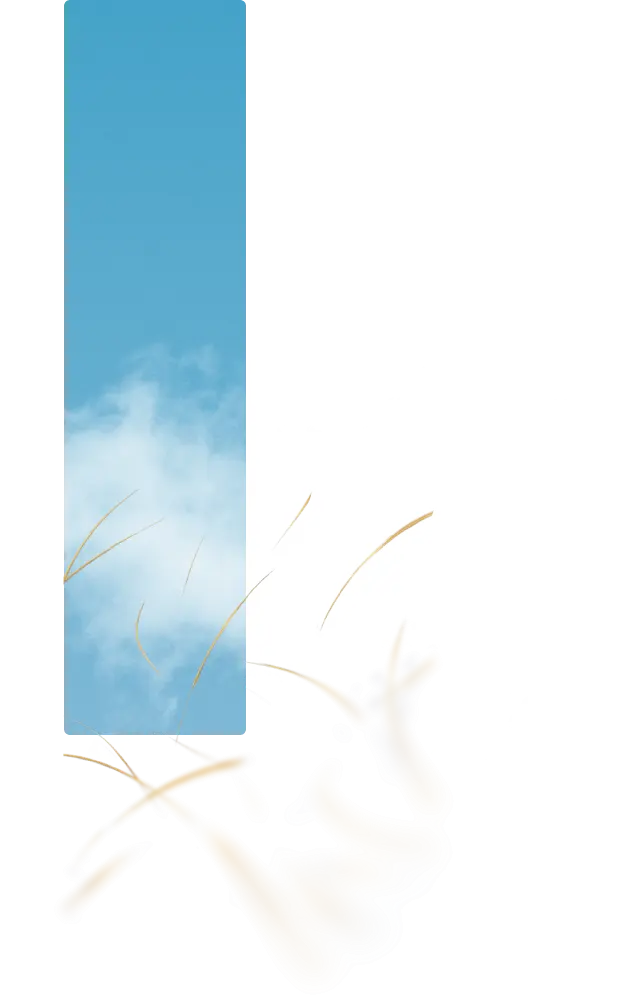 Decorative illustration
