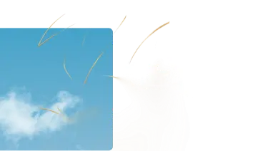 Decorative illustration