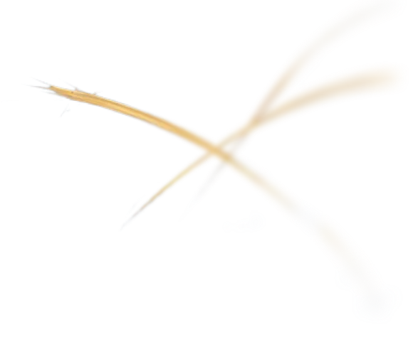 Decorative illustration