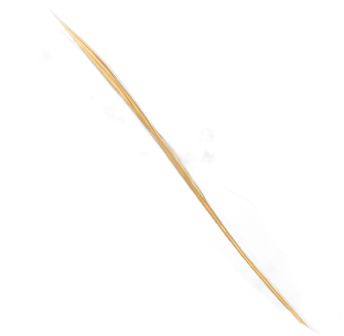 Decorative arc