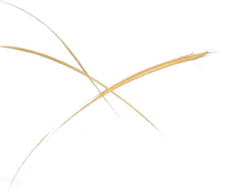 Decorative straw
