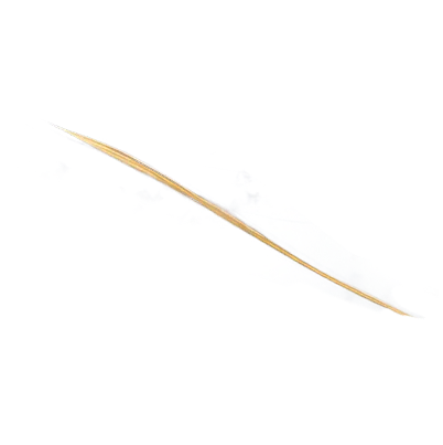 Decorative straw