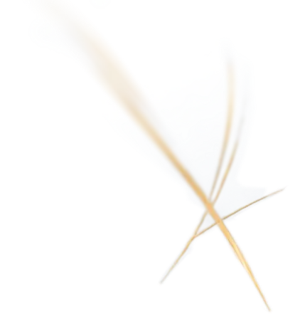 Decorative straw